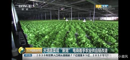 央視點(diǎn)贊 產(chǎn)銷一體化新模式，京東植物工廠為農(nóng)業(yè)發(fā)展提供新思路